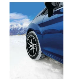Coppia di calze da neve snowdrive per auto - sd62 snowdrive  17142><noscript><img width=