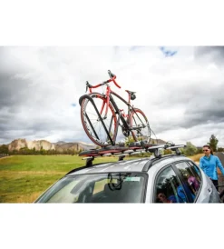 Porta bicicletta da tetto 